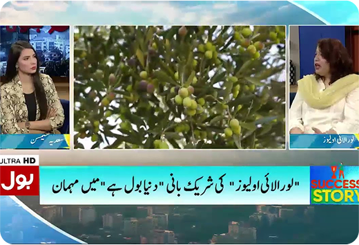 BOL News