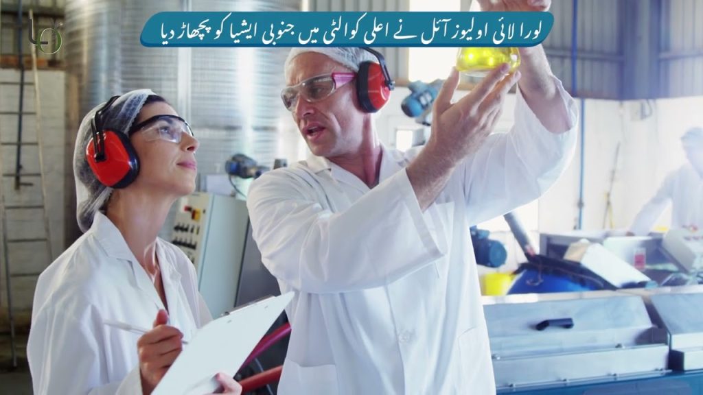 LO Co-Founder and CEO interview